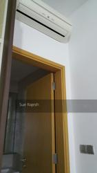 Cerelia Vista (D19), Terrace #146774842